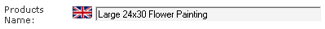 Enter a descriptive but brief product name