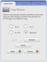 Make sure to select manual cropping so you can highlight the image's area you want to crop